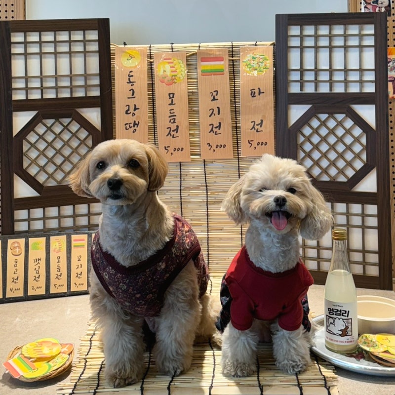 사진 4