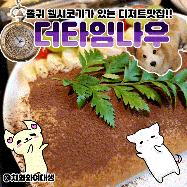  부산남포동까페 더타임나우 크레미수디저트카페 애견 강아지 있는 곳