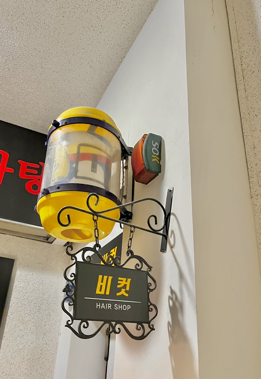 비컷 사진 4
