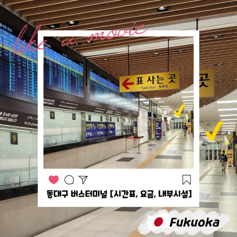 Daegu Dongdaegu Express Bus Terminal: Timetable, Transit Center Fare Chart, Boarding Gates, Smoking Area, and Full Internal Facilities Guide