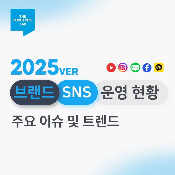  브랜드 SNS 운영 현황 및 주요 이슈 트렌드 2025