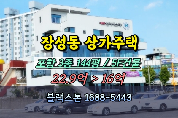  포항 신축 상가주택 경매 장성동 5층건물 20억