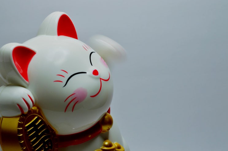  일본입국 시간 절약하는 팁! 미리하는 입국심사 비짓재팬웹 visit japan web 가입/등록 방법 :)