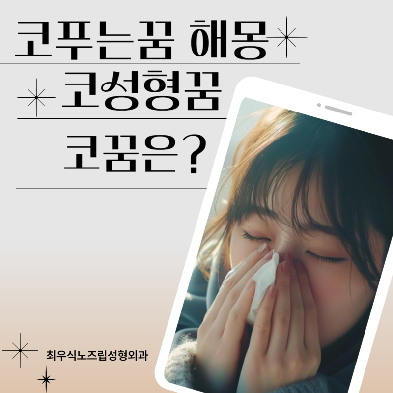 코푸는꿈 해몽 코성형꿈 코수술하는꿈 궁금하다면?