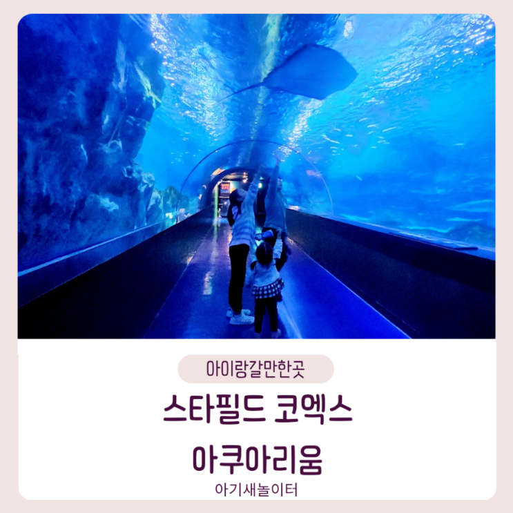 스타필드 코엑스 아쿠아리움에서 바다생물 관찰하기 인어공주쇼