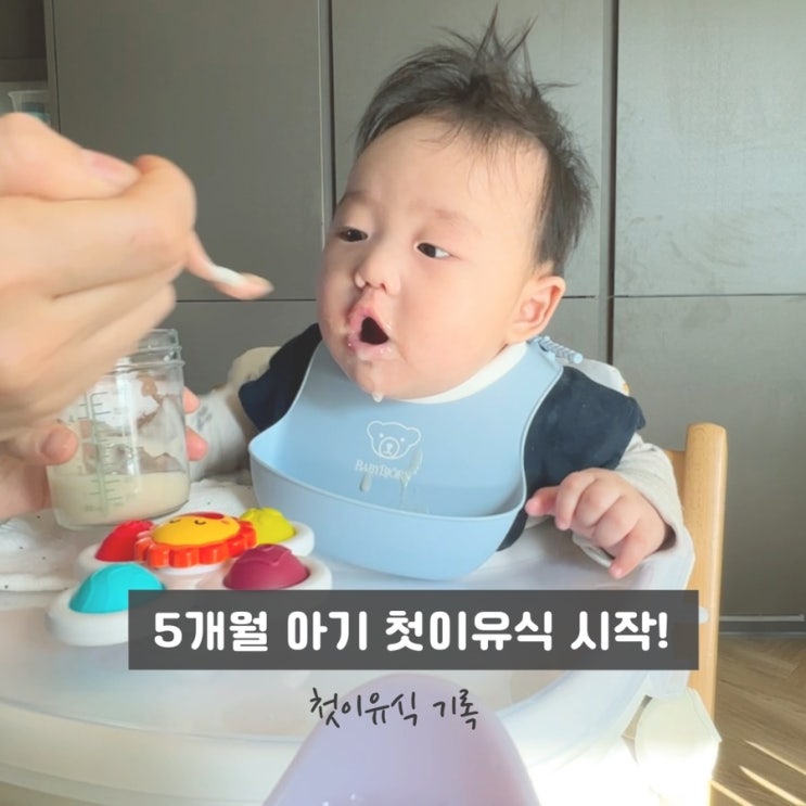  5개월의 끝주. 첫 이유식 시작하기! (feat.베이비무브)