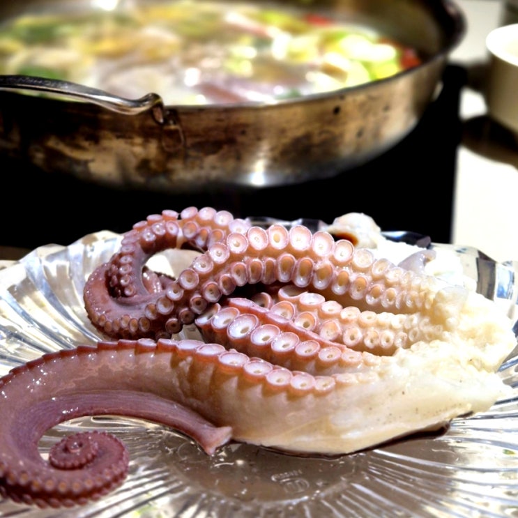  청담동 맛집 옥토퍼스978 끝내줬던 활문어 코스요리