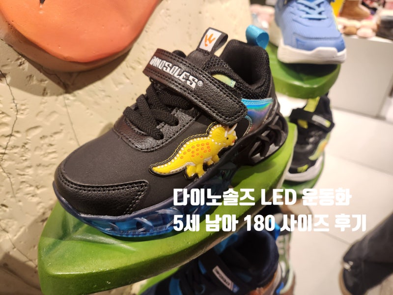 다이노솔즈 LED 운동화 5세 남아 트리케라 180 사이즈 후기