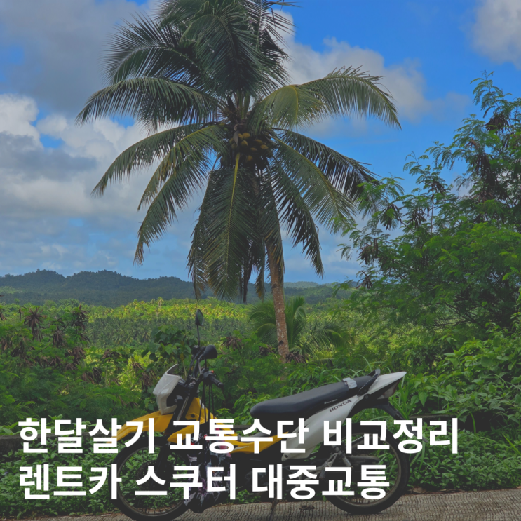  한달살기 교통수단 가이드 렌트카 오토바이 대중교통 비교분석 추천