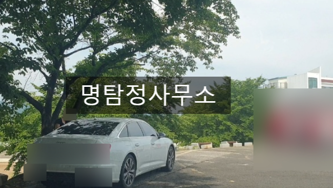  서산흥신소 서산탐정사무소바람난 와이프 걸리고 나서 집나갔어요..찾아주세요