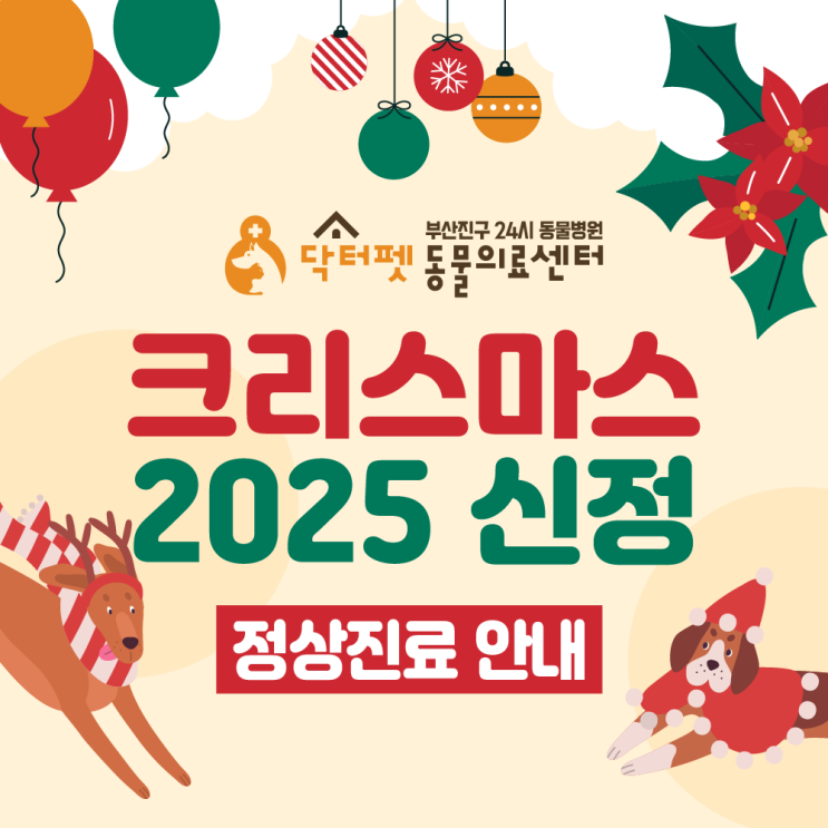  닥터펫동물의료센터 2024년 크리스마스 신정 정상진료 안내 (부산 진구 개금 공휴일 빨간날 일요일 24시 동물병원 응급실)