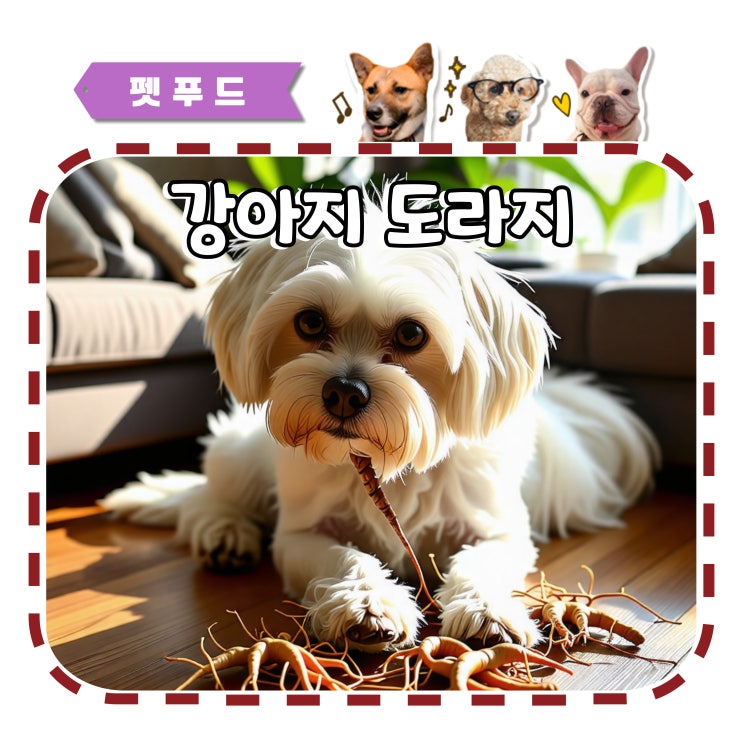  강아지 도라지 먹어도 되나요?