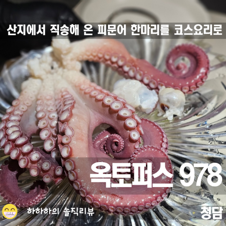 압구정로데오맛집 청담데이트 신상 활문어코스요리 옥토퍼스978