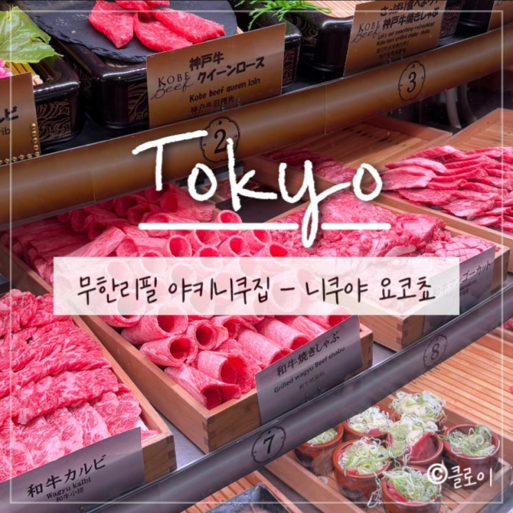  일본도쿄맛집(2) - 니쿠야요코초(무한리필 야키니쿠집 가격), 전참시 민우혁 도쿄 맛집, 주말 웨이팅, 운영 및 마감시간, 도쿄 가성비맛집