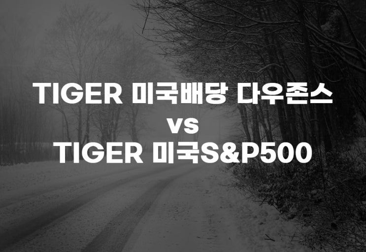  TIGER 미국배당 다우존스(458730) vs TIGER 미국S&P500(360750): 어떤 ETF를 선택할까?