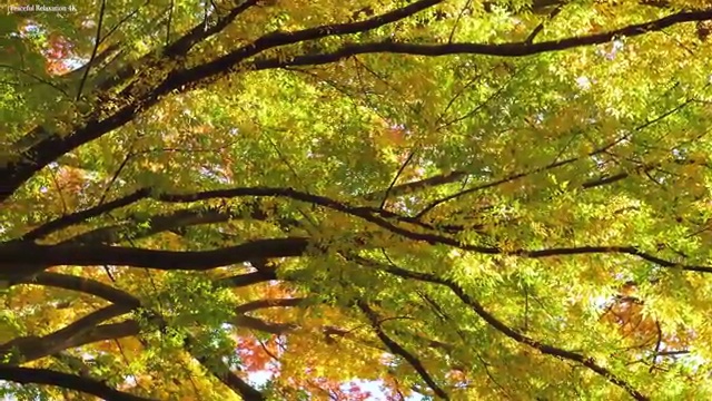  쉬운자격증추천 , 노인통합관리지도사 경력없는 사람도 온라인 수업만으로 쉽게 끝내는 꿀팁 모음