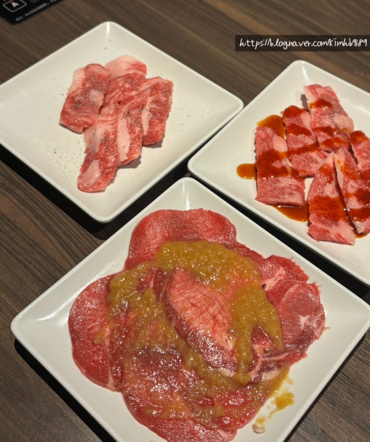 오사카 야키니쿠 무한리필 아부리야 한큐 우메다점 솔직후기