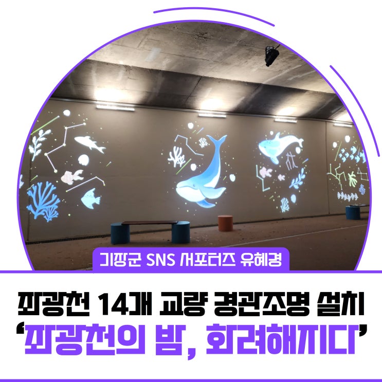 [서포터즈] "<b>좌광천</b>의 밤이 화려해졌어요."