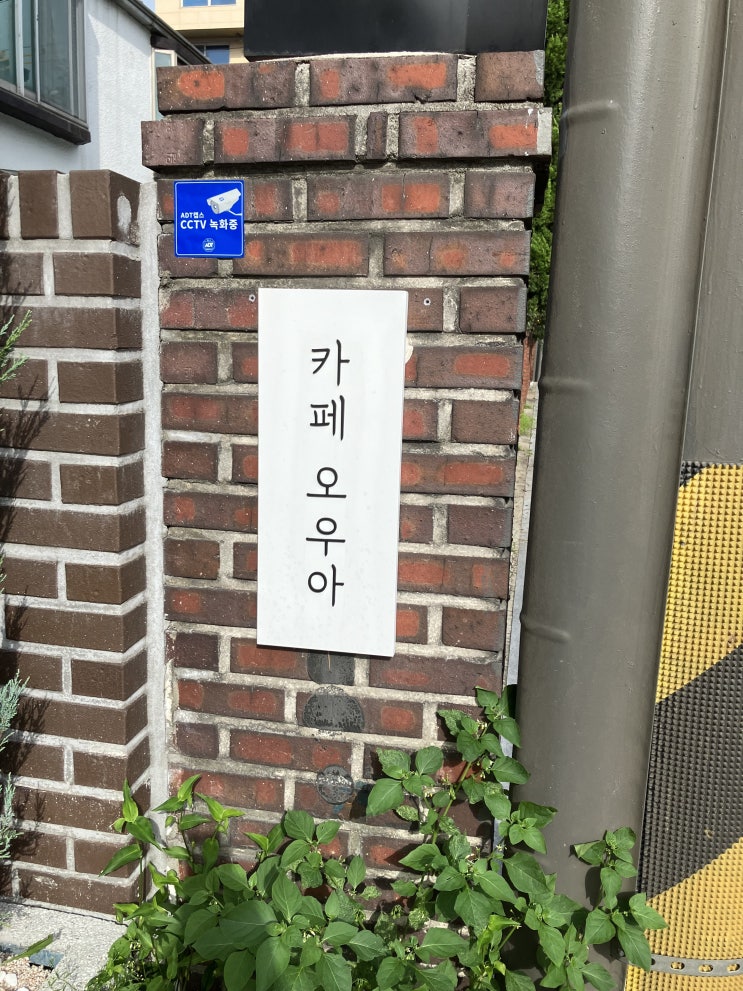 사당역 카페 오우아 사당역 카페 오우아