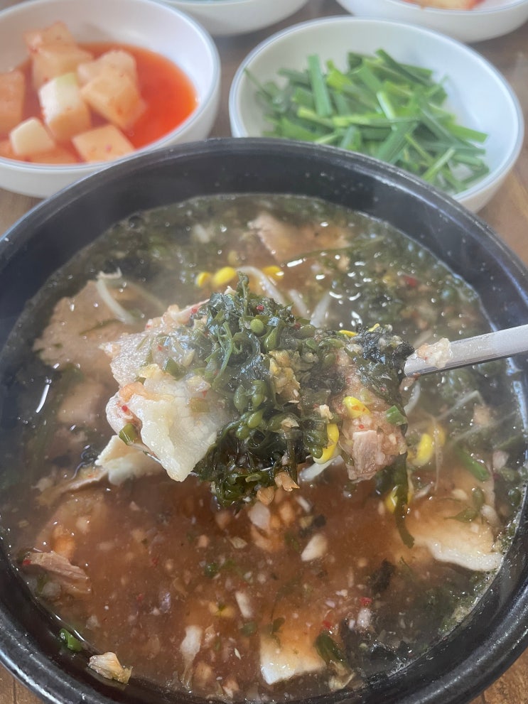  아는 사람보다 모르는 사람이 더 많은 로컬 맛집 또간집 모자반돼지국밥 내돈내산후기