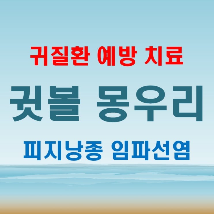  귓볼몽우리 귓볼통증 피지낭종 임파선염 귀건강 귀질환 예방 치료