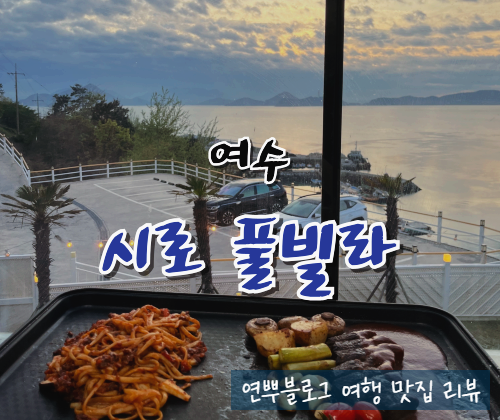  전남 여수 풀빌라 추천 내 돈 내산 시로 풀빌라 애견동반 여수여행