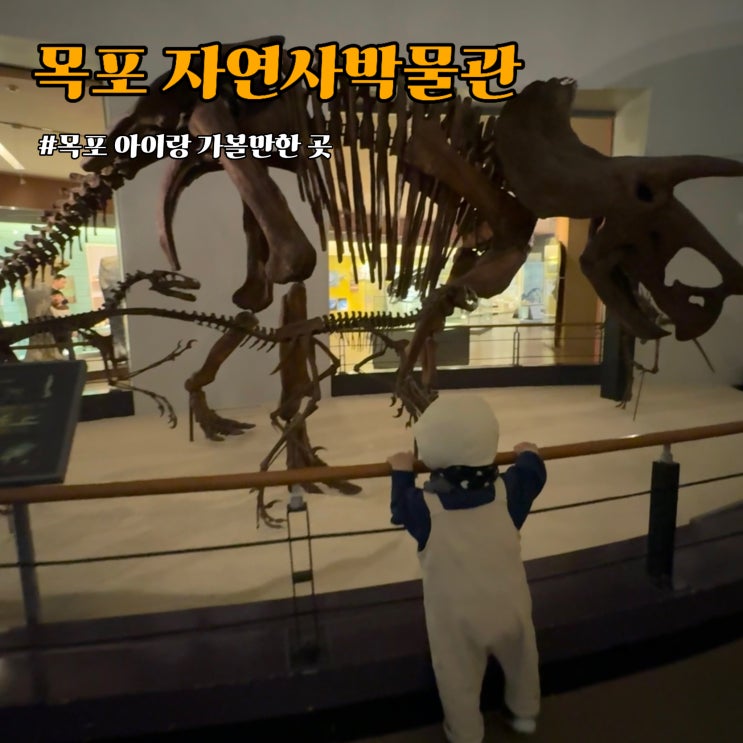  목포 아이랑 가볼 만한 곳 - 목포자연사박물관 겨울 실내 나들이 추천