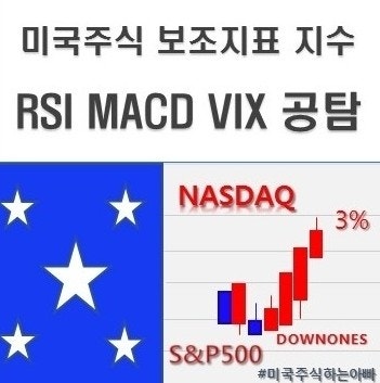  미국주식 보조지표 지수는 어떤 게 있을까 RSI MACD VIX