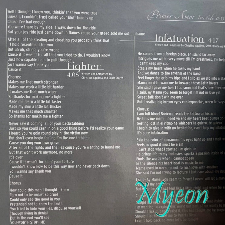  빌런 덕에 강해진 멘탈에 대하여 / 크리스티나 아길레라  Fighter