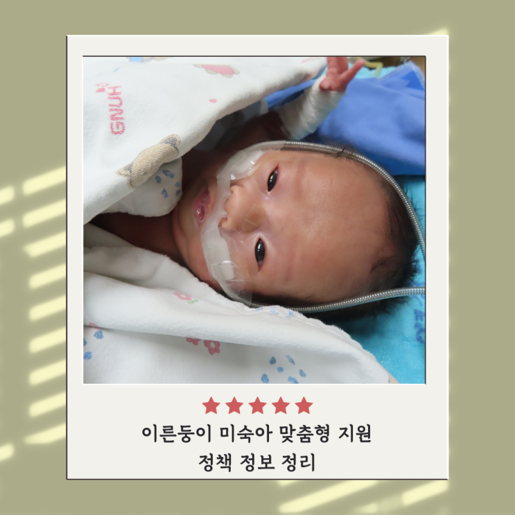 이른둥이 미숙아 맞춤형 지원 신생아 치료 영유아기 발달 육아돌봄 이른둥이 미숙아 맞춤형 지원 신생아 치료 영유아기 발달 육아돌봄