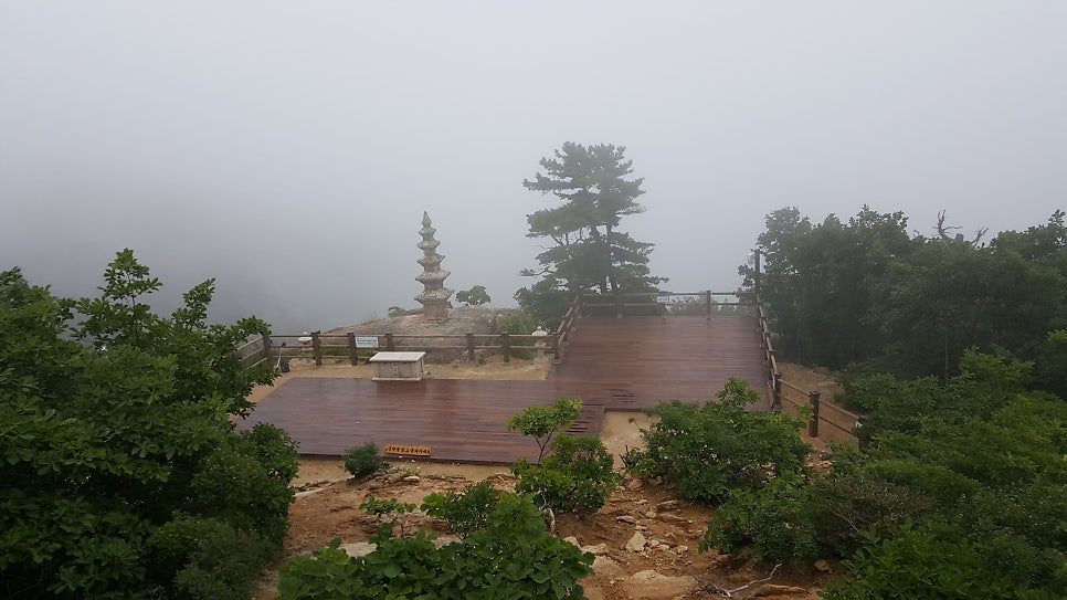조개골 사진 1