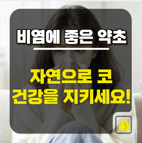비염에 좋은 약초, 자연으로 코 건강을 지키세요!