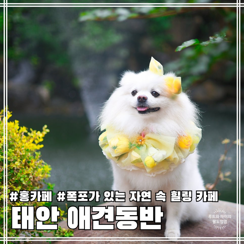 홍카페 사진 1