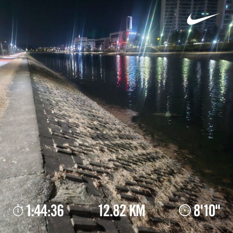 오늘의 [챌린지] 매일 10km 러닝 챌린지 1226일 차