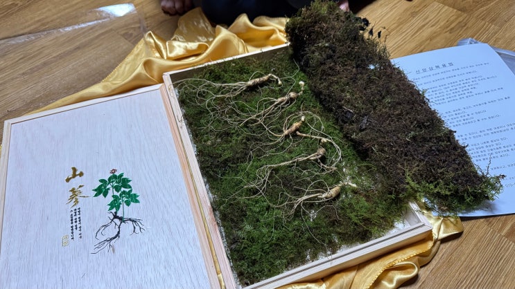  평창산야초 평창 산양산삼 특별한 명절 선물로 소개해 드립니다