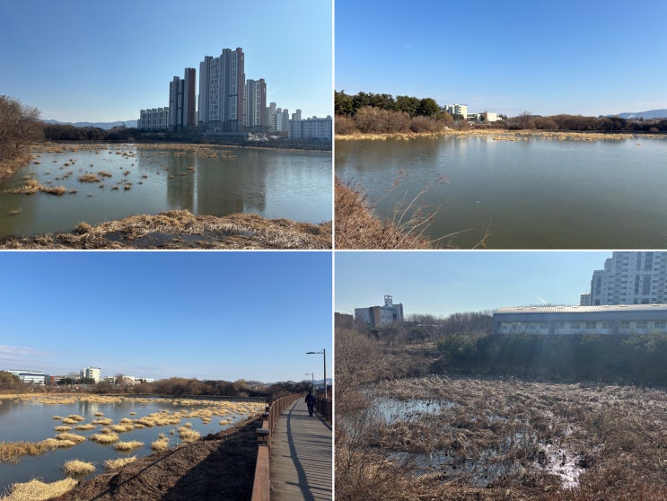  충남 천안 직산삼은공원/저수지 걷기