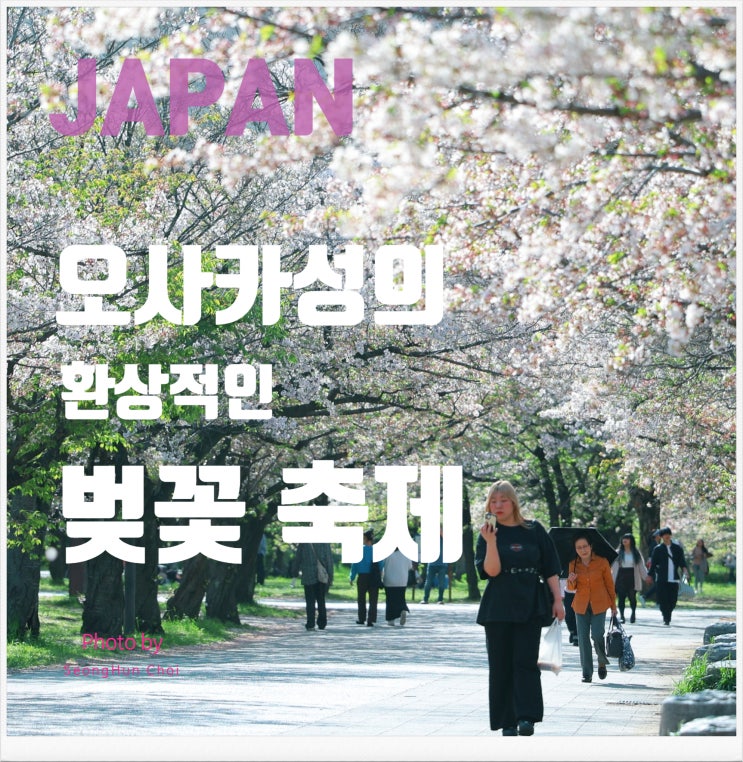  오사카성의 벚꽃 시즌과 환상적인 벚꽃 축제