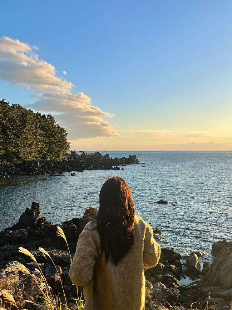 무계획으로 떠난 겨울 제주도 여행 3박 4일 1편 (바른갈치, 김녕해수욕장, 돈내코유원지, 원앙폭포, 소천지)