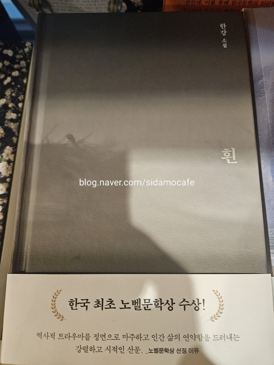 시다모 마포본점 사진 5