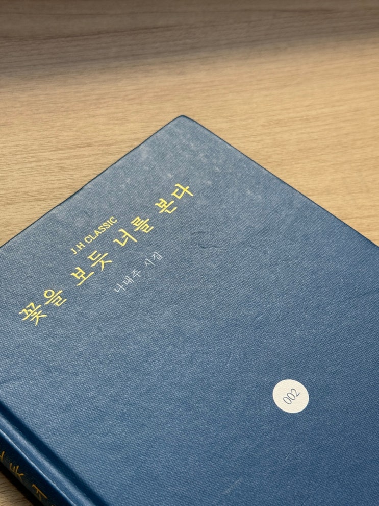  꽃을 보듯 너를 본다 나태주 시집