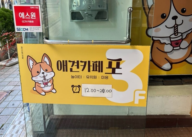 사진 9