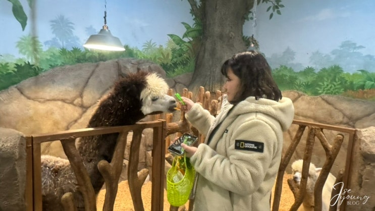 [<b>청주</b>] <b>날씨</b>가 좋아도 안 좋아도 데이트하기 좋은... 
