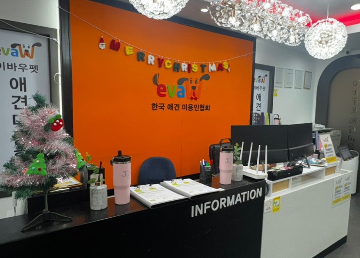  광주 애견미용학원 이바우펫 장학지원 1기 신청 방법