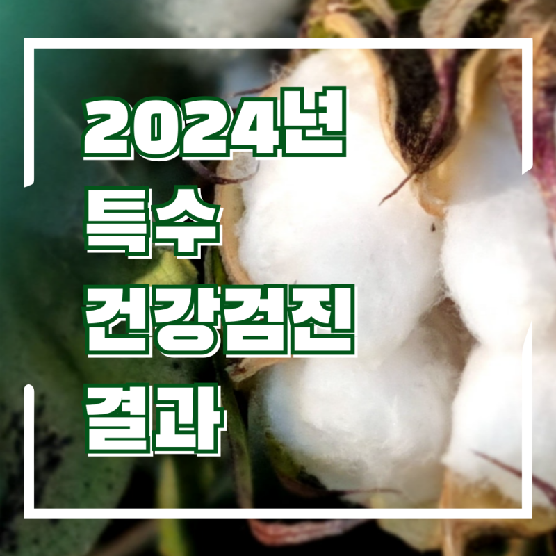 건강검진 비용 특수건강검진 병원 KMI 강남센터 검진 항목 AI 스마트 검진결과