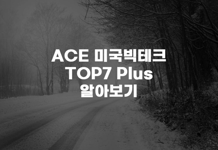  ACE 미국빅테크TOP7 Plus(465580) : 미국 기술주 투자 최선의 선택 주가 주식