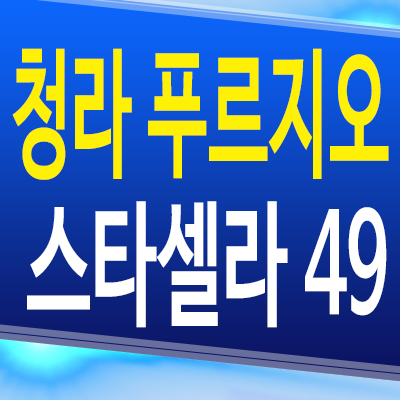  청라 푸르지오 스타셀라49 주거용 오피스텔 인천 서구 청라동 3룸 대우건설 아파텔 분양