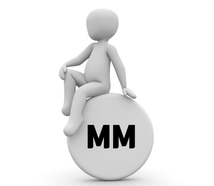  MM(Market Maker, 시장조성자): 개미 투자자가 반드시 알아야 할 진실