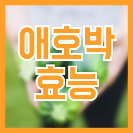  애호박 효능 6가지! 섭취시 이것은 조심하세요!