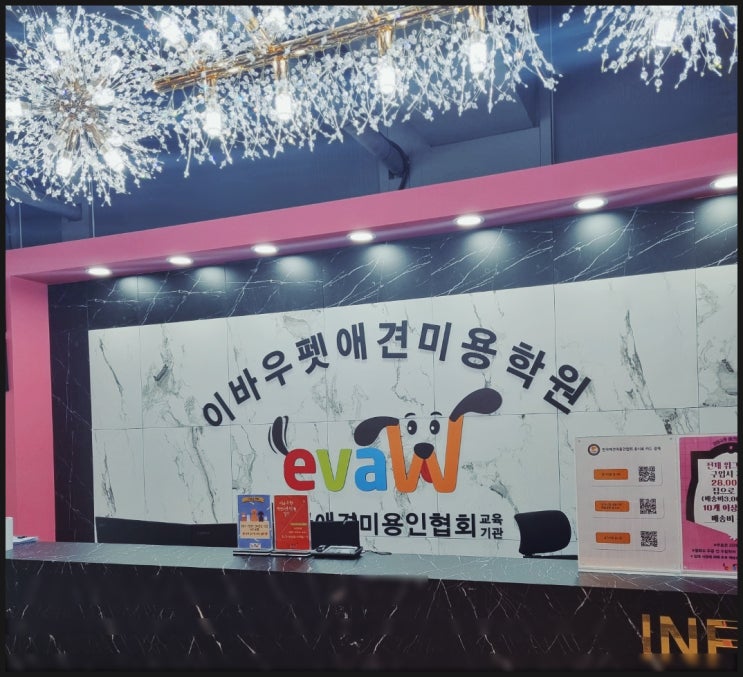  전라도 광주 애견미용학원 오픈예정 장학생 수강료 절감중