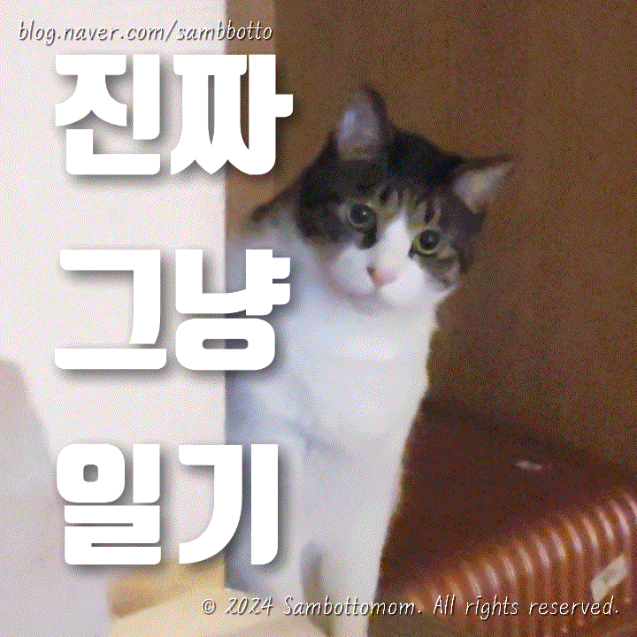  진짜 그냥 일기 | 근황, 구루메초밥, 방어, 하차벨 가챠, 파김치만들기, 치과